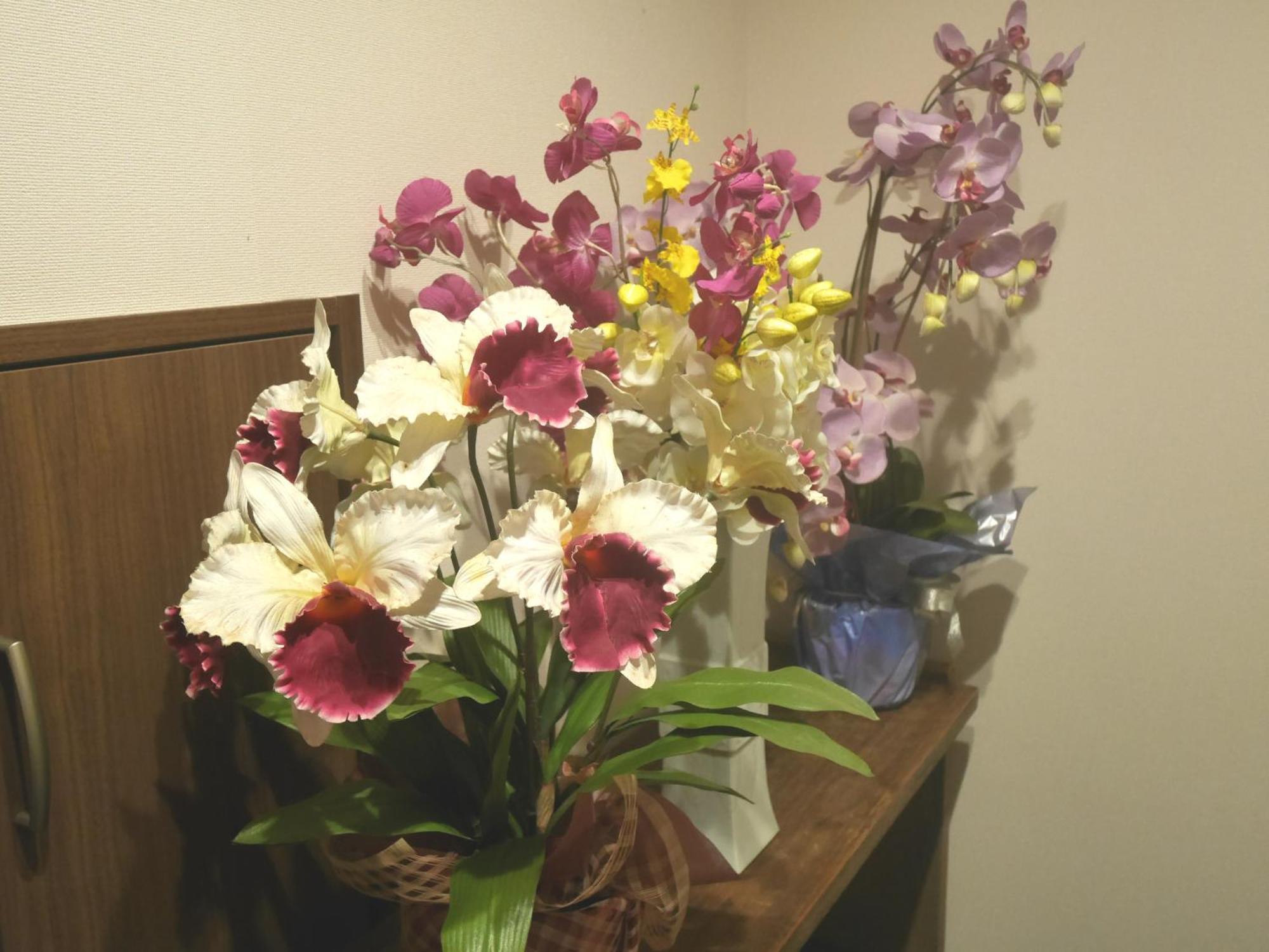 Guesthouse Grande今宮駅前 大阪 外观 照片